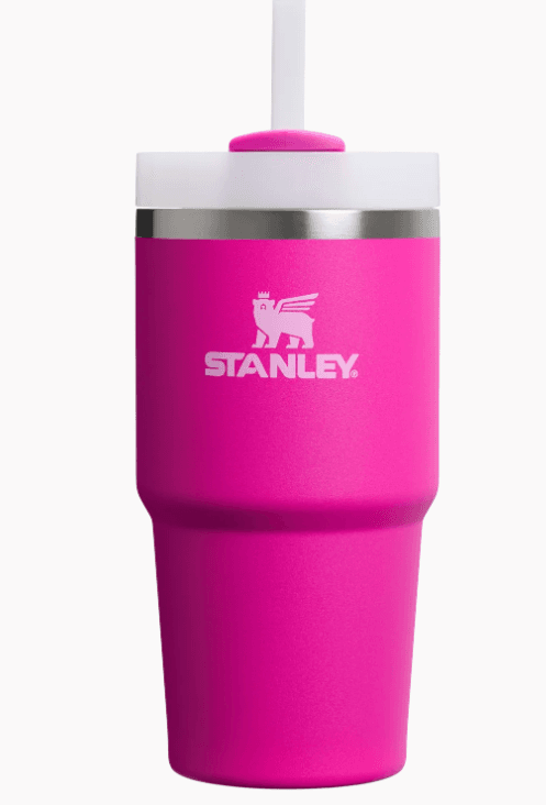 STANLEY QUENCHER 20 OZ 0.59 LİTRE VİOLET BLOSSOM