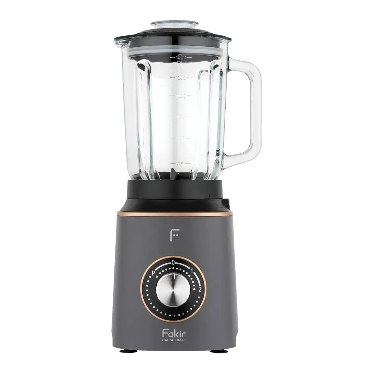 FAKİR MIXYPRO PLUS SMOOTHİE BLENDER ÇELİK CAM HAZNELİ