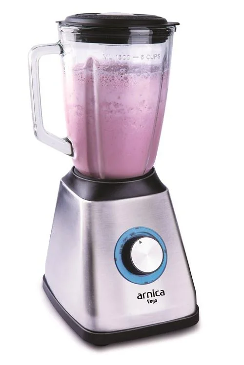 ARNİCA VEGA BLENDER GÜMÜŞ 170J 2