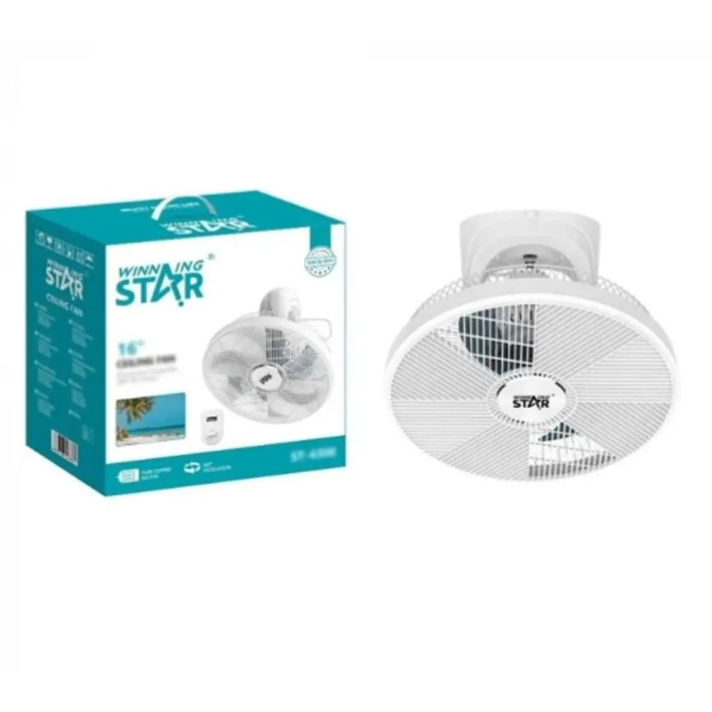 WİNNİNG STAR DUVAR ÜSTÜ VANTİLATÖR ST-4300 2