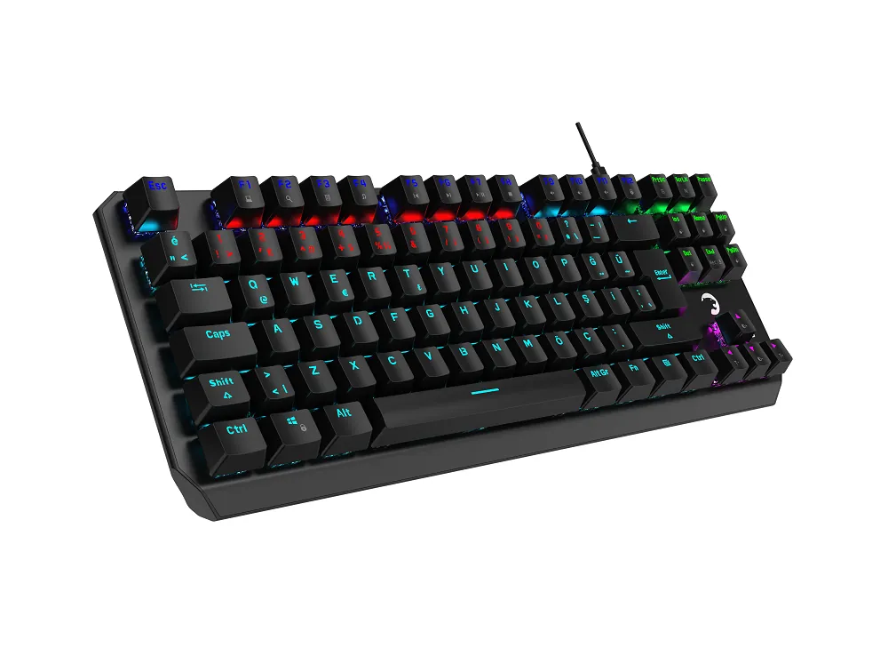 GAMEPOWER OVERLORD 60M MEKANİK GAMİNG KLAVYE USB RED SWİTCH SİYAH 2