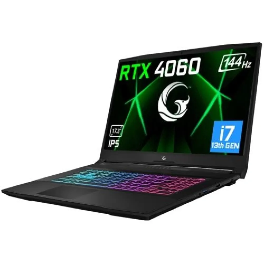 GAMEGARAJ SLAYER3 7XL-4060 C1 i7-13700H 16GB 1TB RTX4060 17.3" 4