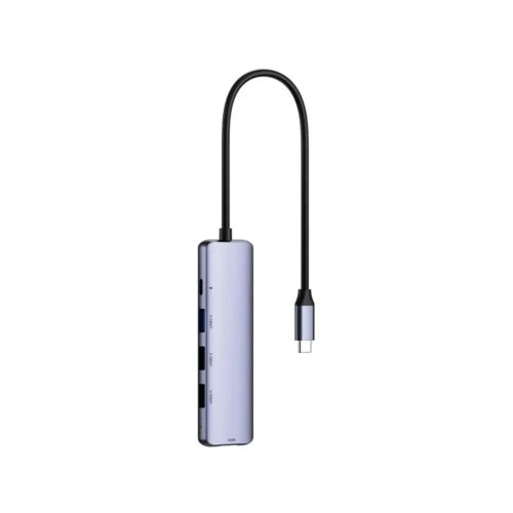 Netac WF13 5-in-1 Type-C NT08WF13-30GR Type-C to USB3.0+USB2.0*2+100W 2