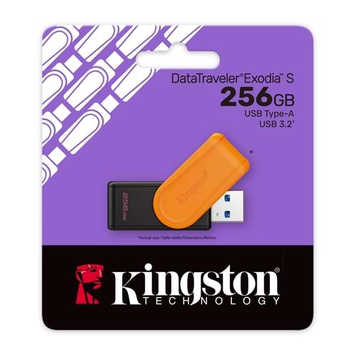 KİNGSTON 256GB USB BELLEK